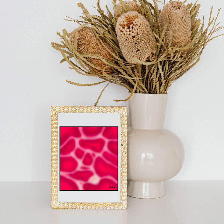 Becky R Arts - Artiste Peintre & Illustratrice numérique - Illustration - Hawahi VI