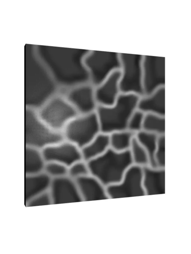 Becky R Arts - Artiste Peintre & Illustratrice numérique - Toile 30x30cm - White in Black