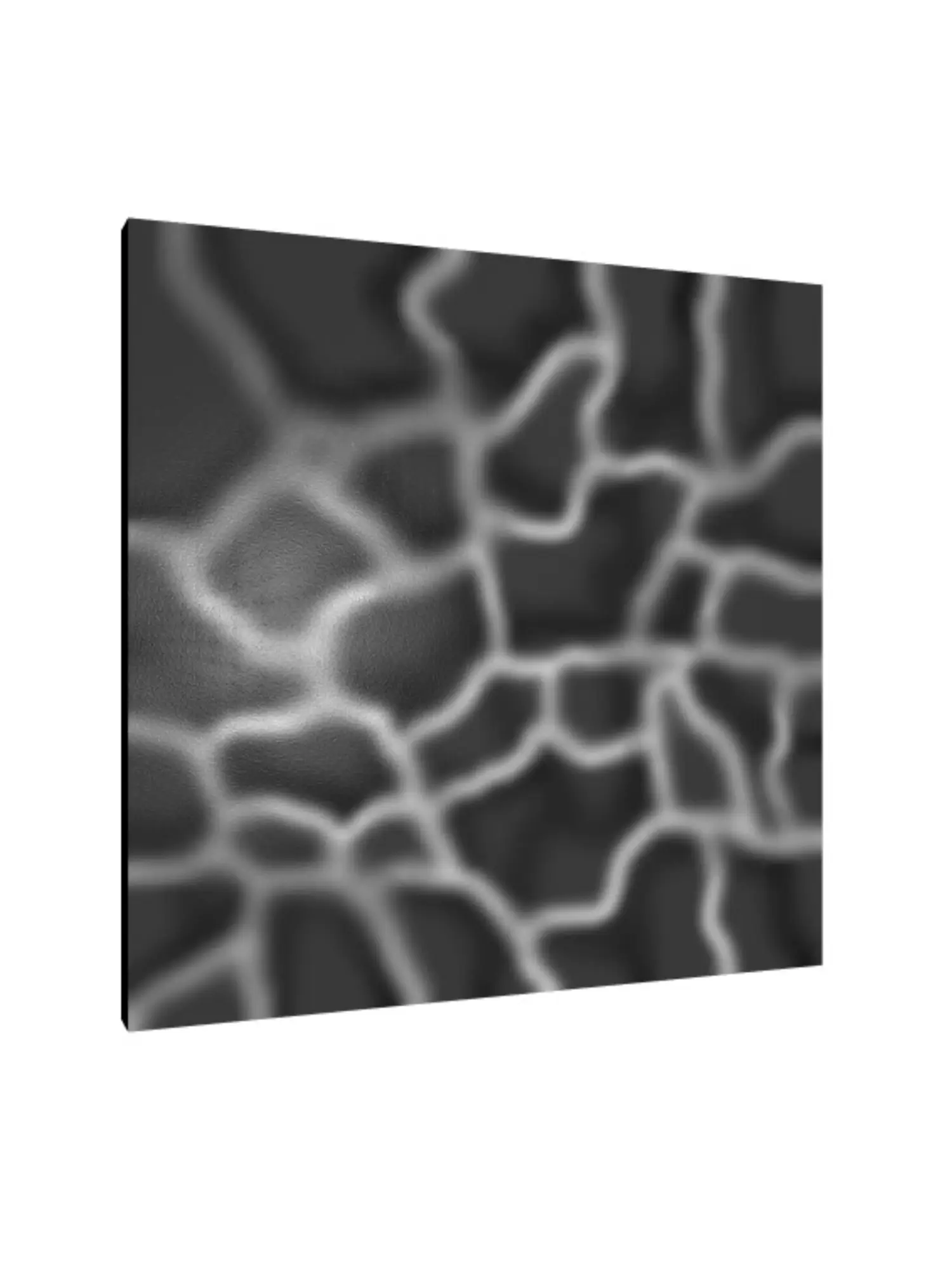 Becky R Arts - Artiste Peintre & Illustratrice numérique - Toile 30x30cm - White in Black